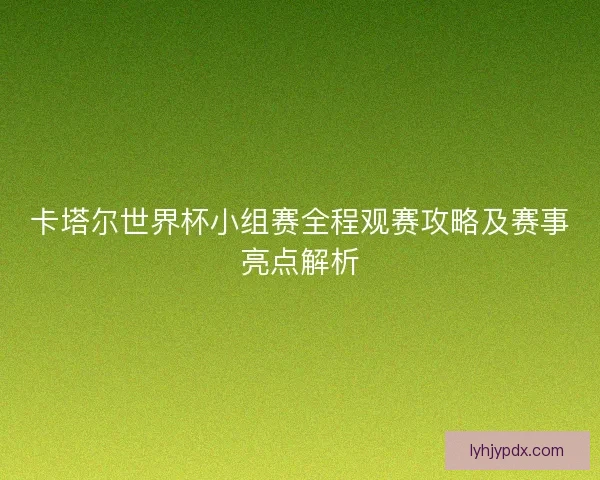 卡塔尔世界杯小组赛全程观赛攻略及赛事亮点解析