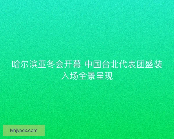 哈尔滨亚冬会开幕 中国台北代表团盛装入场全景呈现