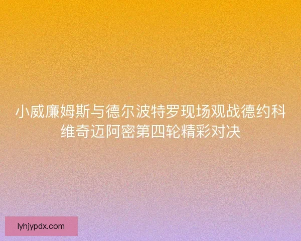 小威廉姆斯与德尔波特罗现场观战德约科维奇迈阿密第四轮精彩对决